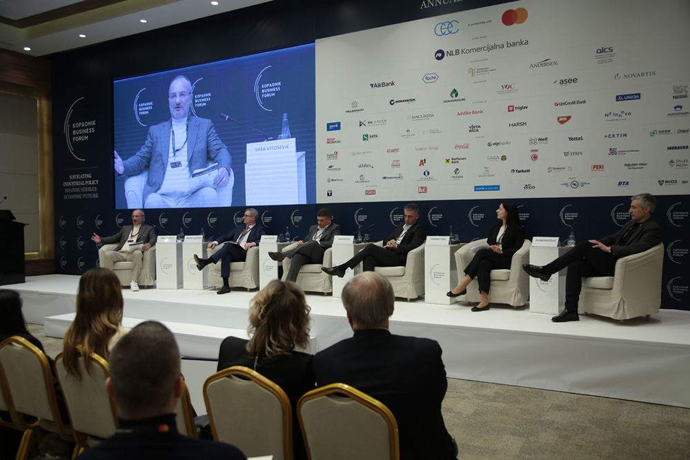 Rubiks at the Kopaonik Business Forum